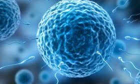 重庆市试管婴儿医院哪家比较好？