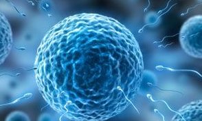 昆明试管医院怎么样？附详细医院信息